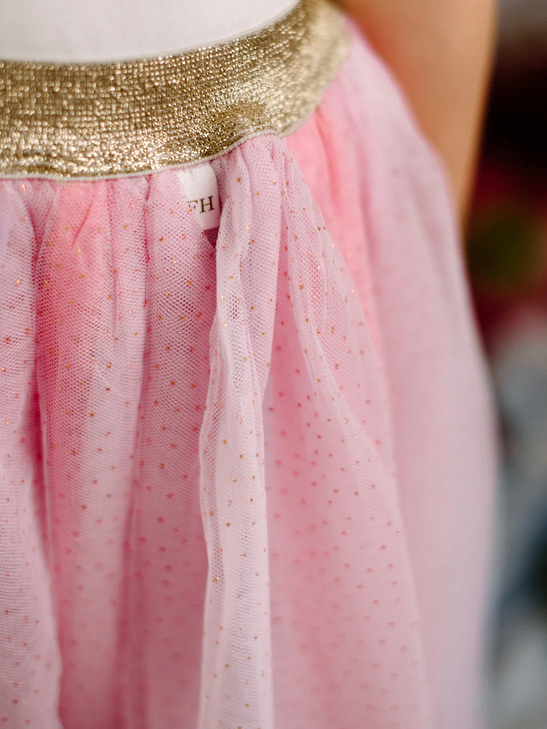 Ombre Tutu Skirt