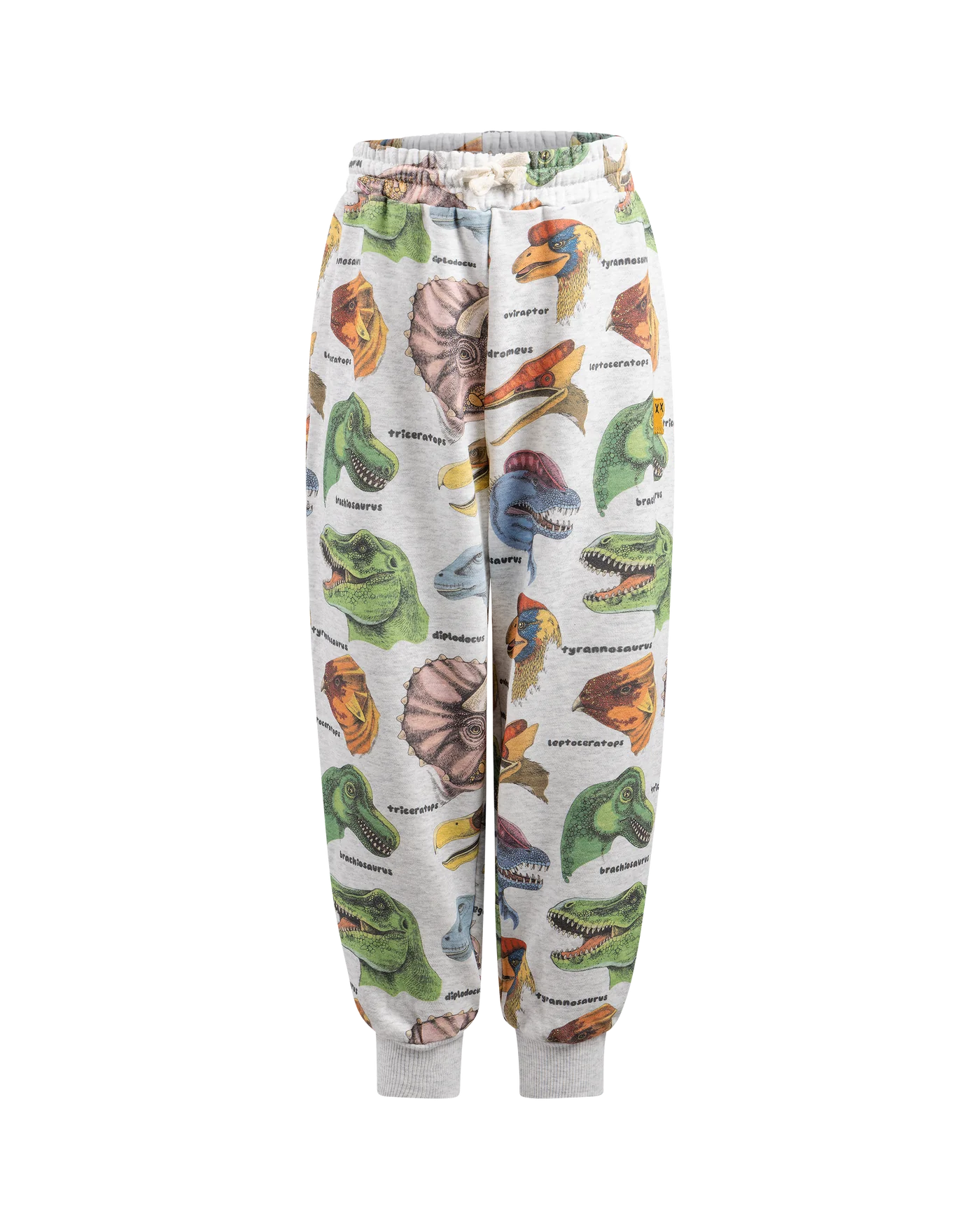 Dino Bright Trackpants