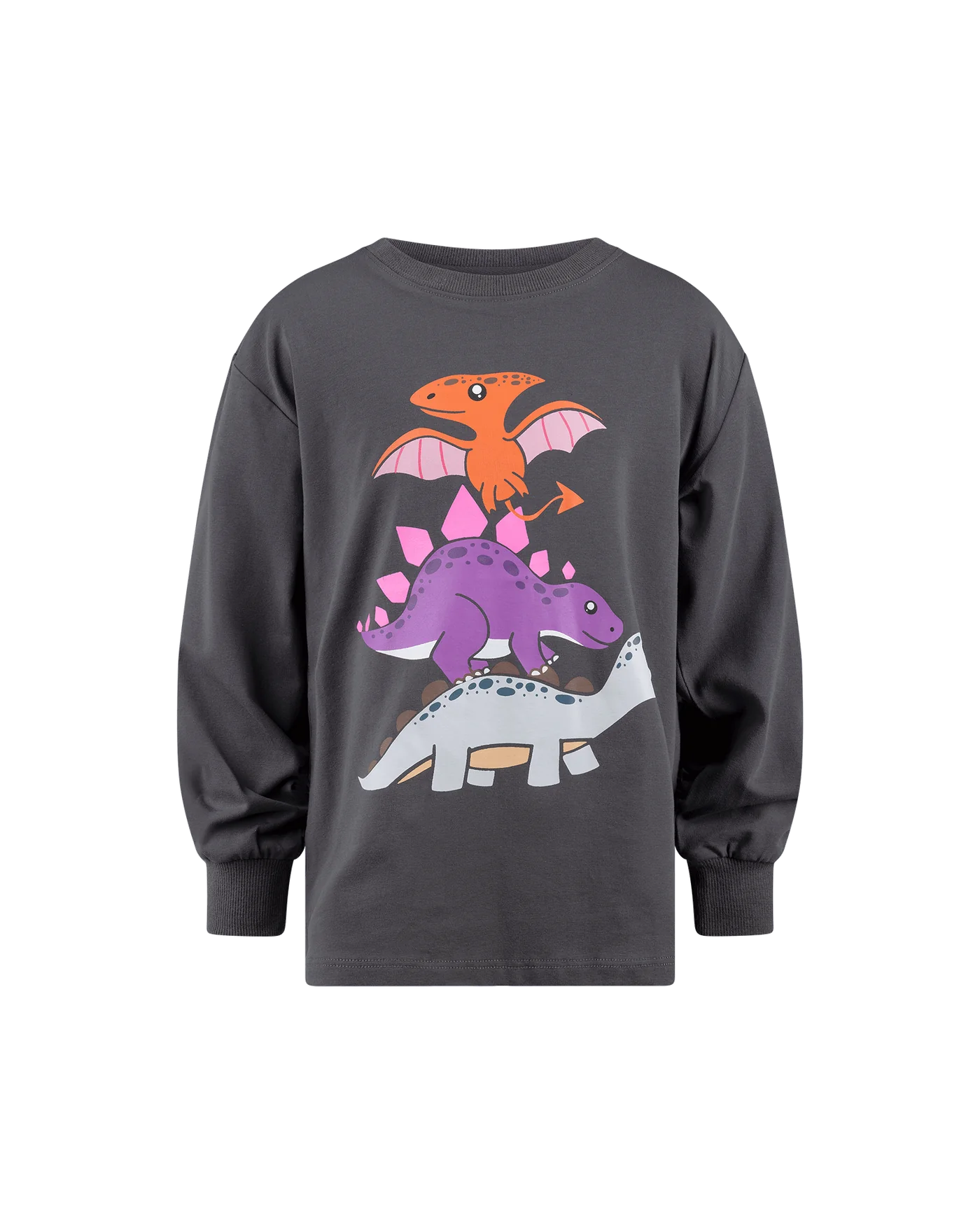 Dino Stack Long Sleeve Shirt