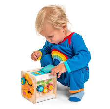 Petit Activity Cube